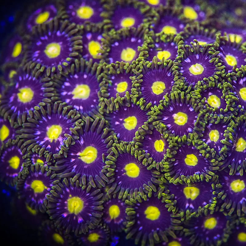 Antimatter